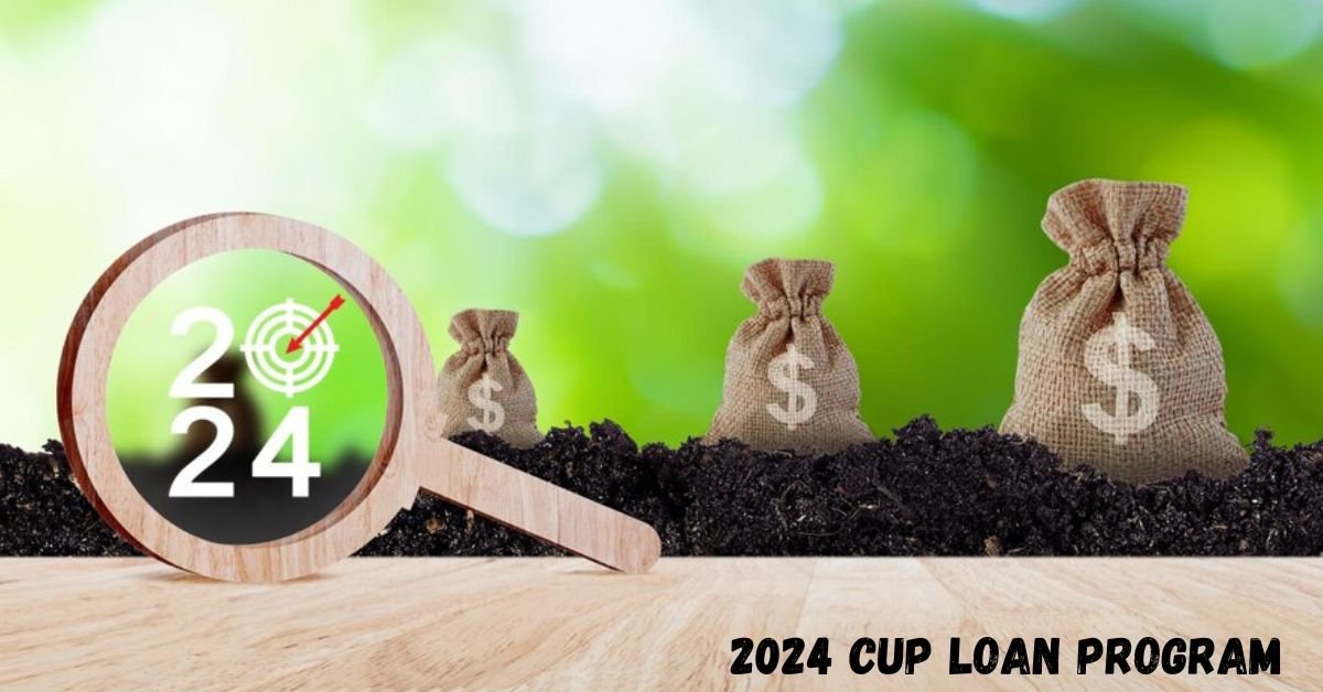 2024 cup loan program