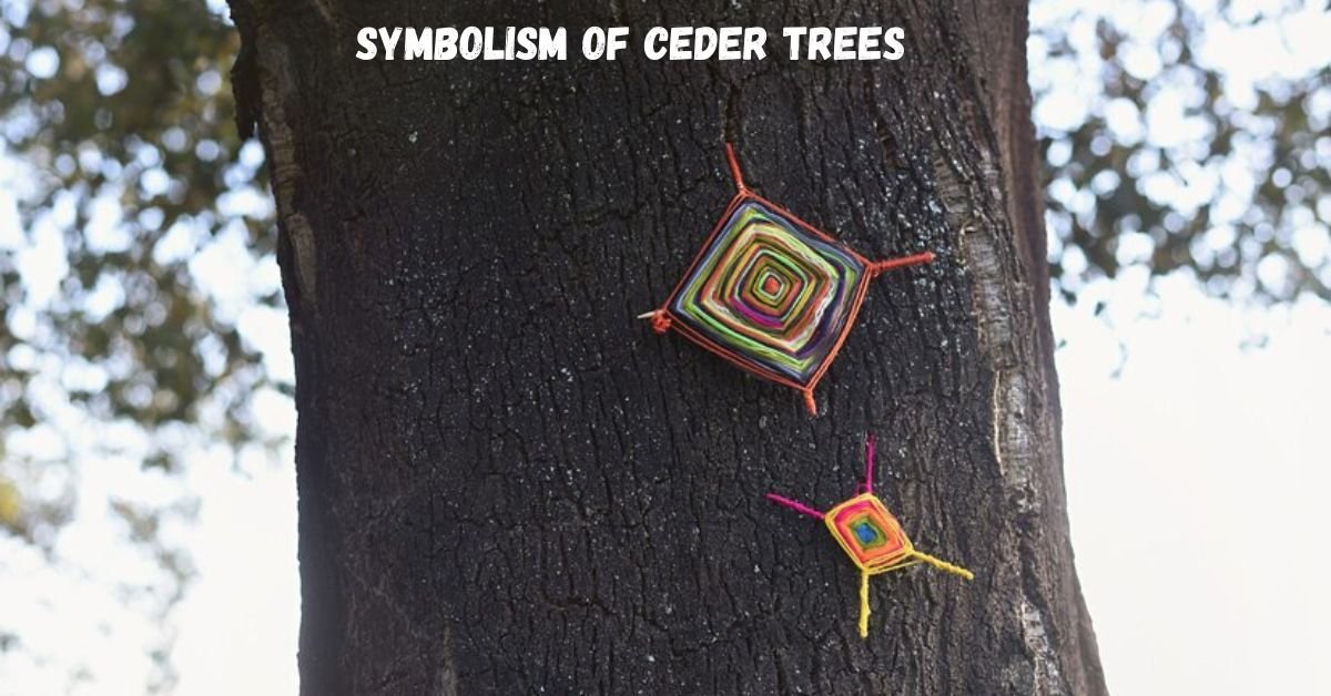 symbolism of ceder trees